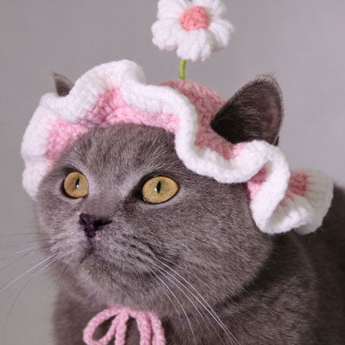 宠物猫咪帽子手工针织编织花朵造型狗可爱搞怪帽变装道具头套配饰