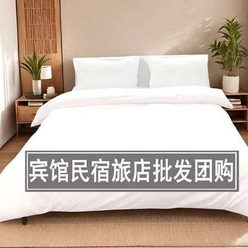 宾馆民宿纯白色被套纯色四件套罩
