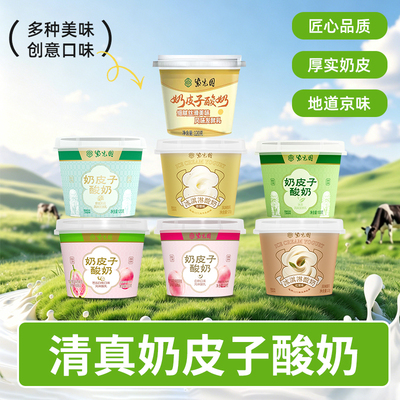 紫光园奶皮子酸奶多口味独立装