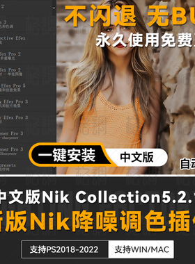 ps滤镜调色插件Nik Color Efex Pro5 win/mac中文版Collection5