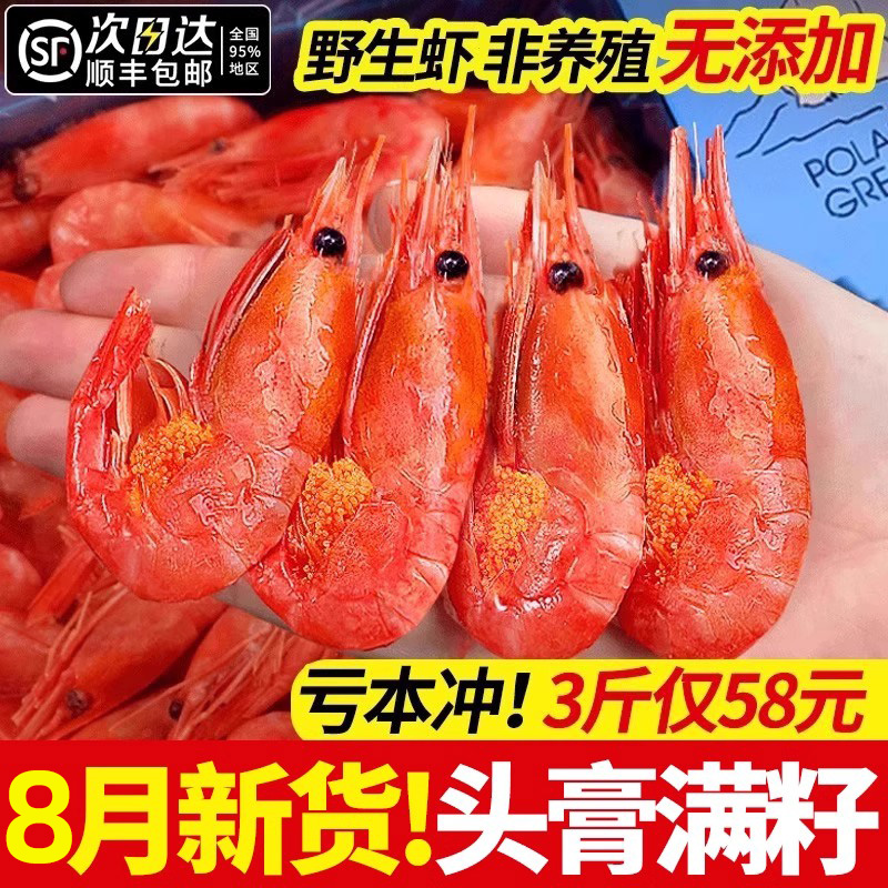 北极熊北极甜虾全头籽