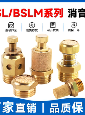 消声器AN气动电磁阀节流弹簧消音器BSL/SSL-M5-01-02-03-04 ASN