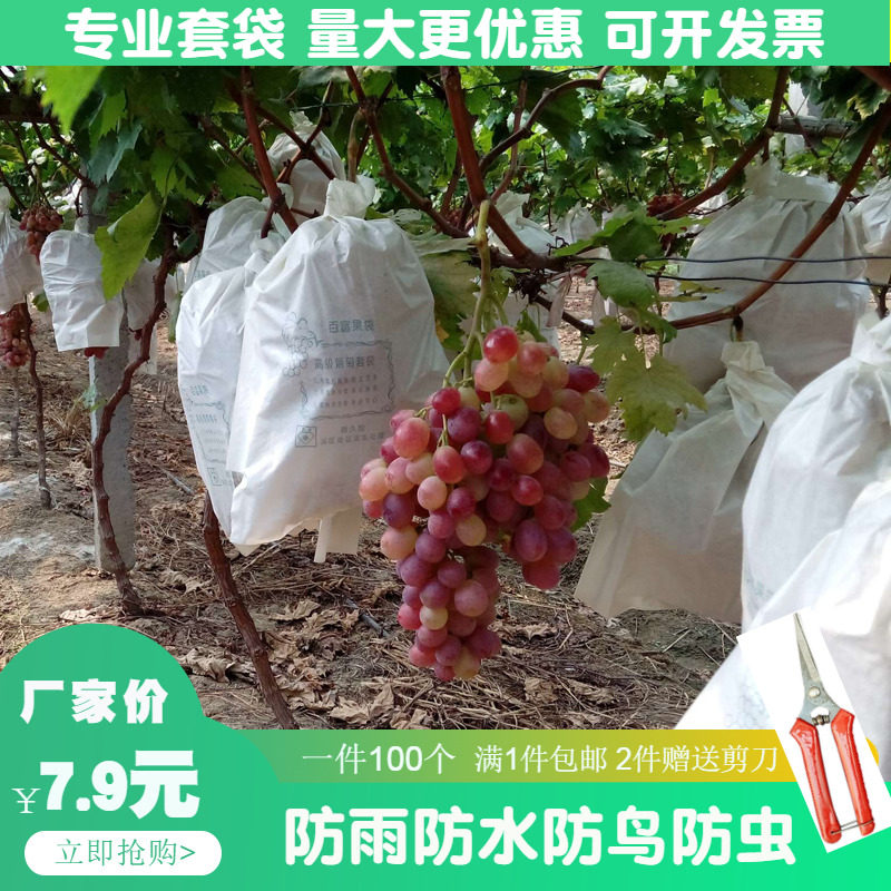 白色葡萄套袋专用鸟虫防雨水透气