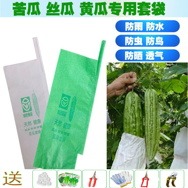 丝瓜专用套袋苦瓜纸袋黄瓜袋防水