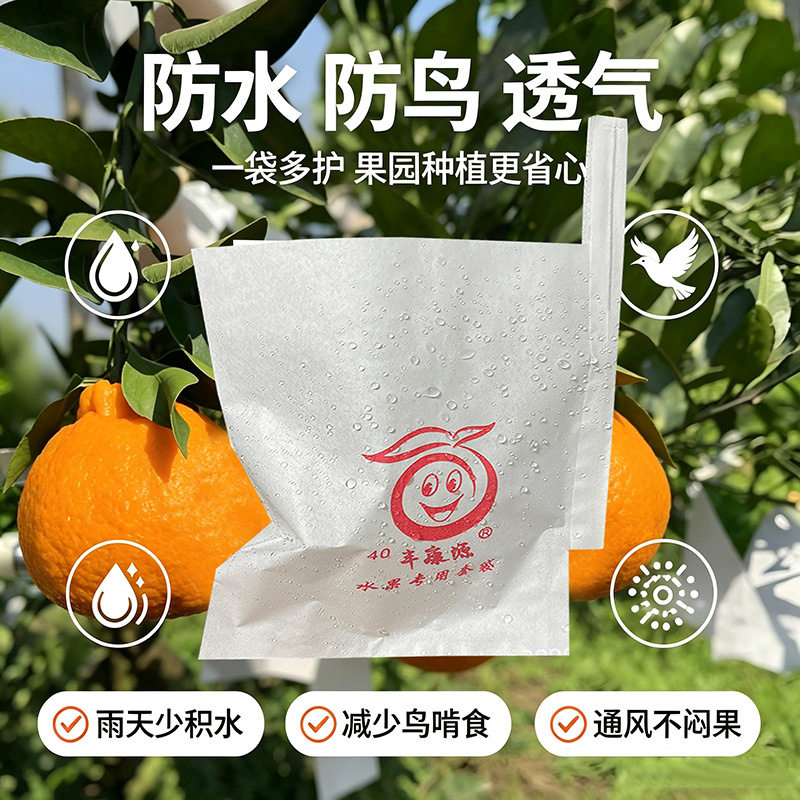 粑粑柑套袋橙子红美人脐橙套袋