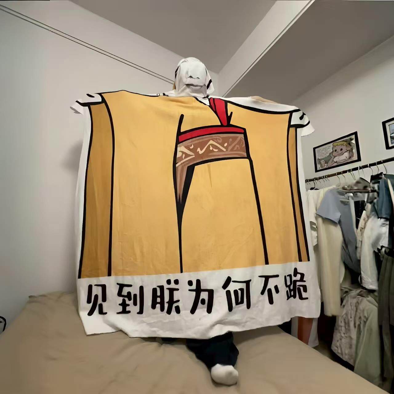 见到朕为何不跪毛毯创意