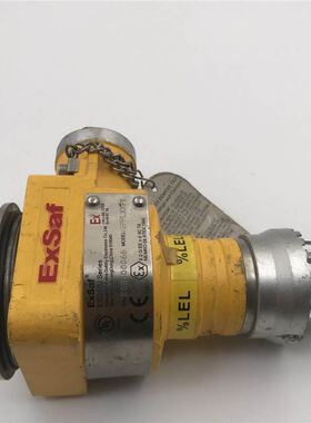 EXSAF气体检测ESD100 Series SPPLXXF1 E05300066 实拍