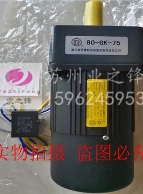 浙江佳雪微特电机90YYJS40-4 5减速器90-GK-200 250 300 500