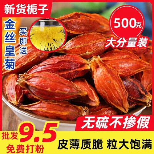 正品栀子茶栀子果泡茶散装食用