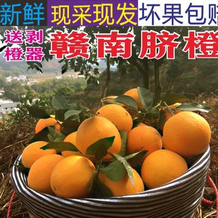 正宗江西赣州安远橙子10斤赣南脐橙新鲜现摘当季孕妇水果整箱