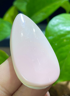 天然女王贝胭脂螺吊坠