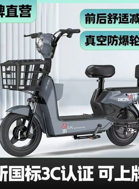 新款新国标电动车两轮电瓶车成人女士代步自行车48V大电瓶代步车