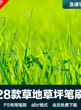 PS后期素材草坪草地小草青草绿色植物野草图案设计背景abr笔刷