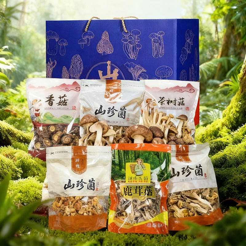 干菌菇干菌子礼包煲汤菌子875g