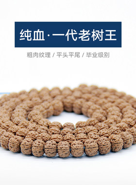 古品记树王籽小金刚菩提男女士