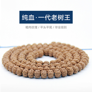 古品记树王籽小金刚菩提男女士