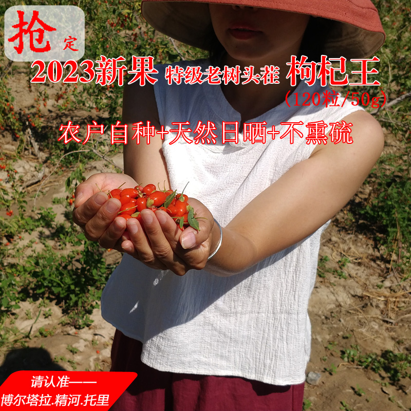 新疆枸杞王正宗精河枸杞子500g头茬特选大粒原色无硫嚼着吃非宁夏