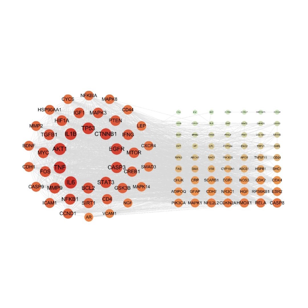 生信分析 单细胞转录组 基因组 微生物 代谢蛋白 孟德尔 网络药理