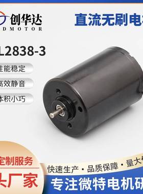 BL2838-3直流无刷电机 咖啡机水泵微型减速马达 耐用低噪音电机