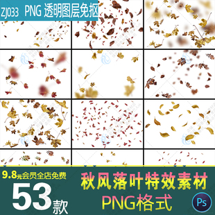 秋天秋季金色落叶树叶枯黄枫叶飘落凋零PNG免抠图片素材设计元素