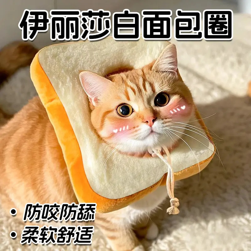 猫咪狗狗吐司伊丽莎白圈可调节