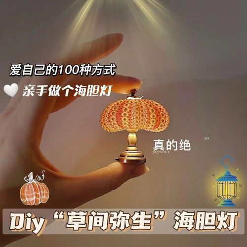 海胆复古小夜灯儿童桌面小台灯夏季金属复古风女生房间装饰摆件