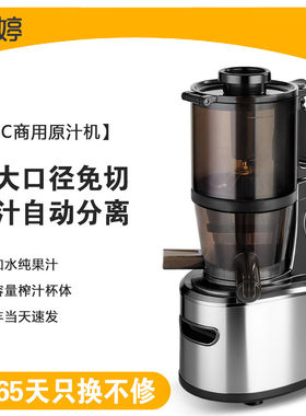 水果小型多功能原汁机商用