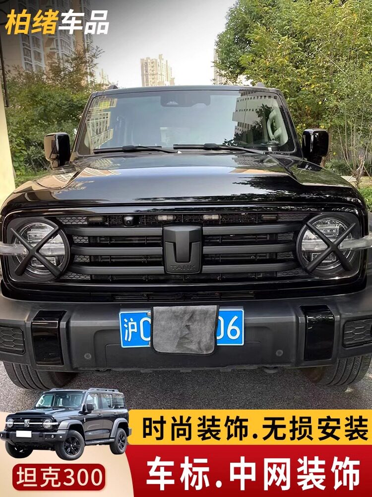 其他车标中网ABS塑料改装车标图片