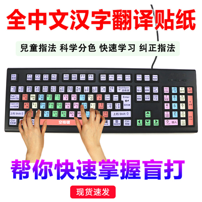 中文功能键汉字翻译笔记本个性贴纸台式大小拼音五笔字根指法练习