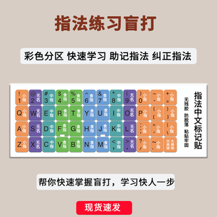 台式键盘指法练习贴纸学习打字中文指法图电脑考试模拟贴纸字母垫
