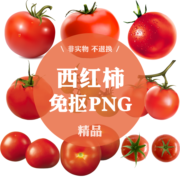 3174号西红柿番茄卡通菜谱真实水果蔬菜png免抠素材设计图片图案