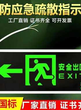 LED安全出口指示牌接电款疏散标志楼层通道楼道新国标物业工程灯