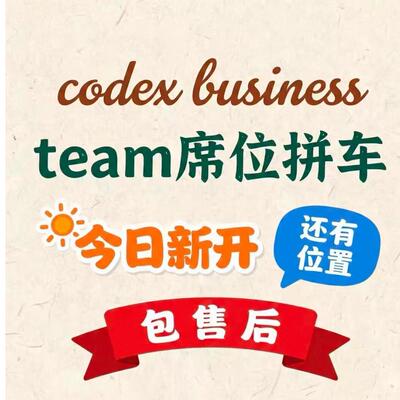 codex team拼车 business套餐AI团队版车位售后质保一月一车5人