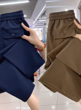 加厚直筒哈伦裤女2025秋季新款百搭显瘦休闲裤高腰时尚小脚萝卜裤