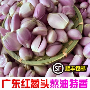 广东红葱头手工去皮剥好干葱头新鲜餐饮酒店香料头食用熬葱油商用