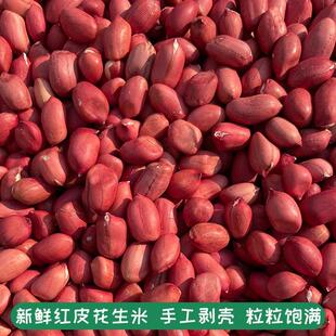 2025红皮花生米新红衣小粒生花生仁四粒红花生干花生粒包邮营养