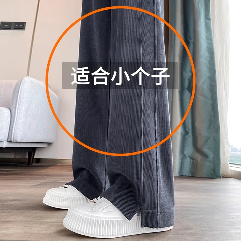 清仓捡漏～灰色阔腿裤女冬季加绒香蕉裤休闲窄版直筒裤春秋雪尼尔