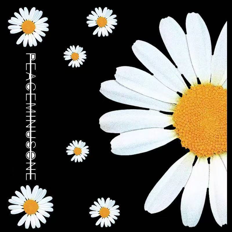 权志龙同款GD小雏菊行李箱贴纸防水不留胶笔记本电脑装饰贴纸潮牌