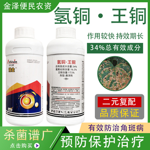 安比盛清金34%氢铜王铜黄瓜角斑病防治保护治疗高效农药杀菌剂