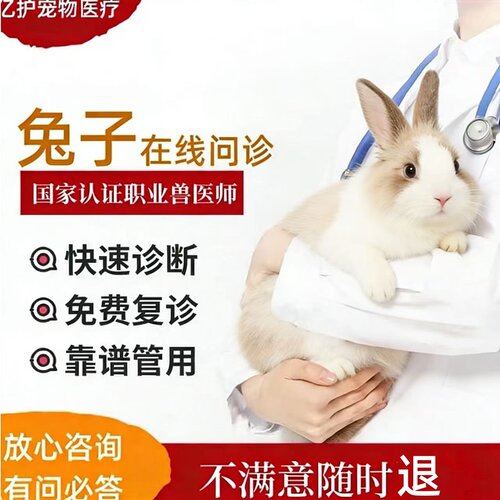 宠物医生在线问诊兔子专科线上异宠诊断胃肠道皮肤疾病和预防