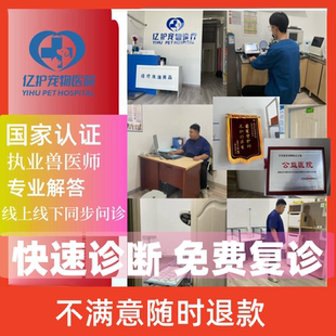 宠物医生在线问诊兽医咨询宠物医院在线看病猫猫狗狗专科免费复诊