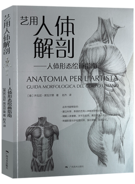 艺用人体解剖人体形态绘画指南