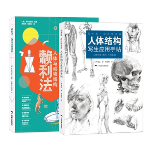 人体结构绘画技法2册 赖利法人体与动物结构/人体结构写生应用手帖 人体动物结构骨骼肌肉解剖人体绘画 人体动物结构绘画素描技法