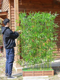 仿真竹子室内装饰假竹子隔断屏风挡墙造景室外装饰竹盆栽加密绿植