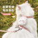 跨境猫咪牵引绳防走丢可调节遛猫绳子幼猫外出用胸背带宠物狗用品