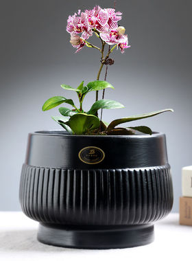黑色陶瓷花盆简约奶油风特价清仓带托盘家用透气绿植盆蝴蝶兰盆栽