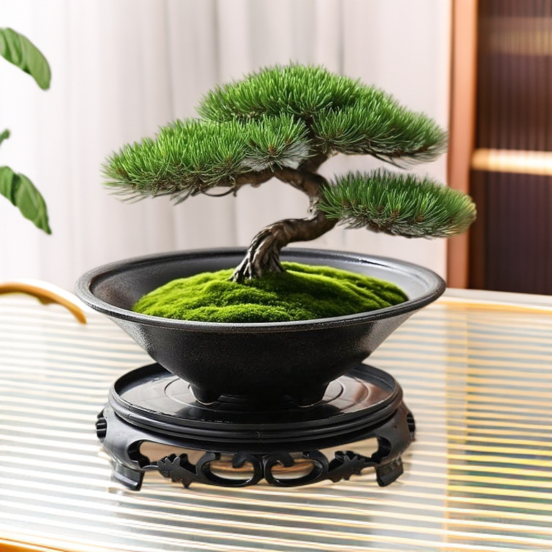 人气款苔藓球花盆陶瓷中式亚光桌面摆件水培米竹菖蒲水培器皿盆托