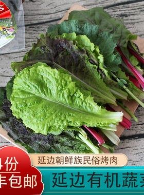辛韩烧烤 有机蔬菜 新鲜韩国包饭菜叶烤肉食材紫生菜4份包邮顺丰