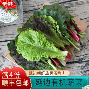 辛韩烧烤 有机蔬菜 新鲜韩国包饭菜叶烤肉食材紫生菜4份包邮顺丰