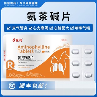 氨茶碱片宠物狗狗猫咪支气管炎哮喘气喘平喘药狗狗心脏肥大心衰药